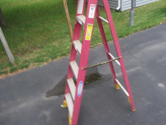 lot 20 image: Werner Step Ladder