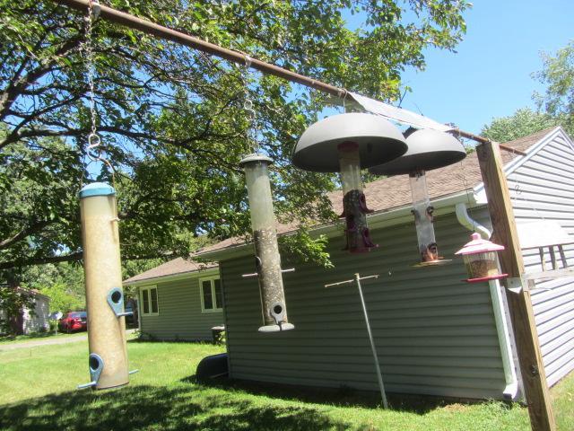 lot 213 image: Bird Feeders