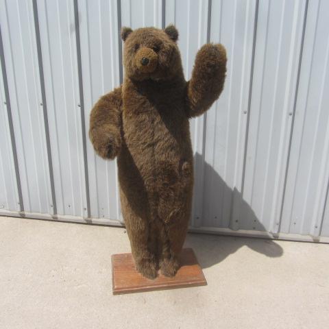 Stuffed Bear