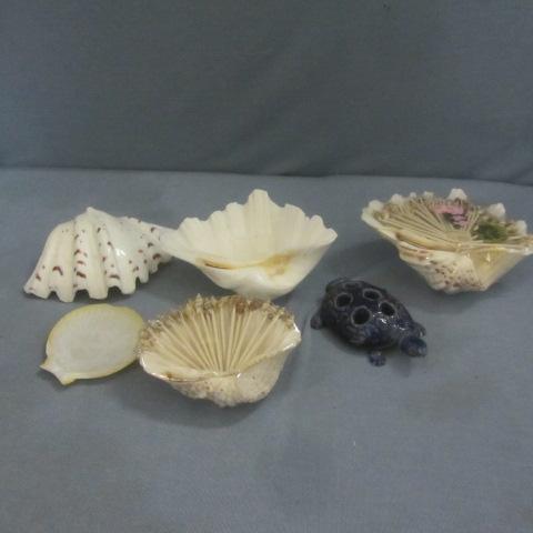 Seashells