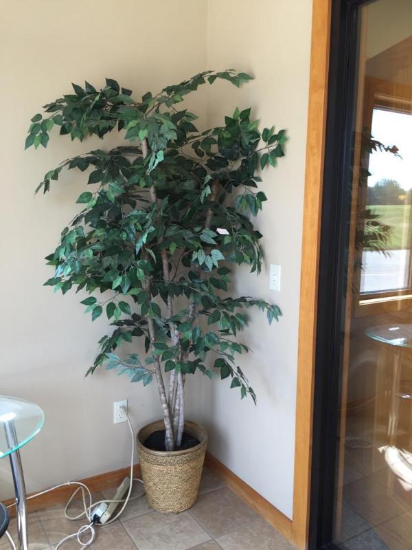 lot 68 image: 2 artificial trees 74"...