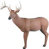 Big Shooter Buck Archery Target