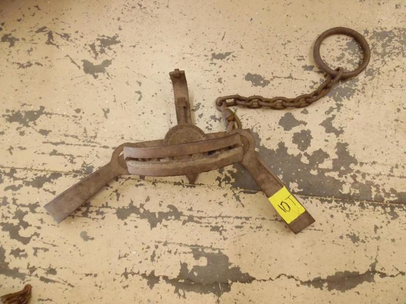 Bear trap