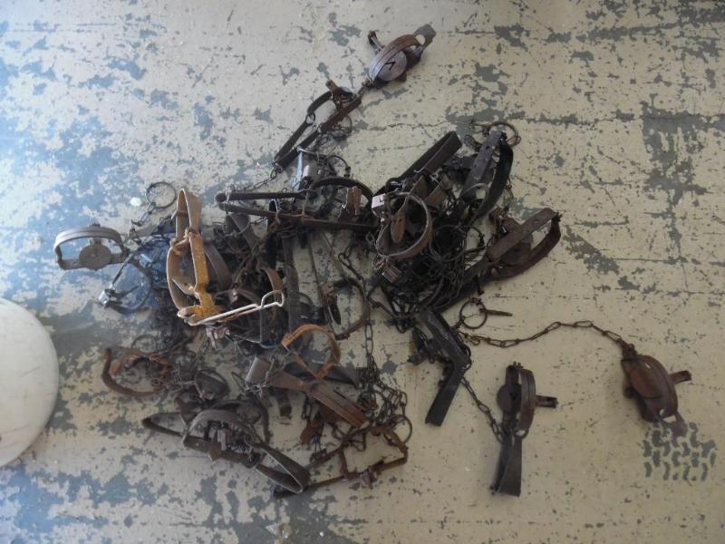 Animal traps