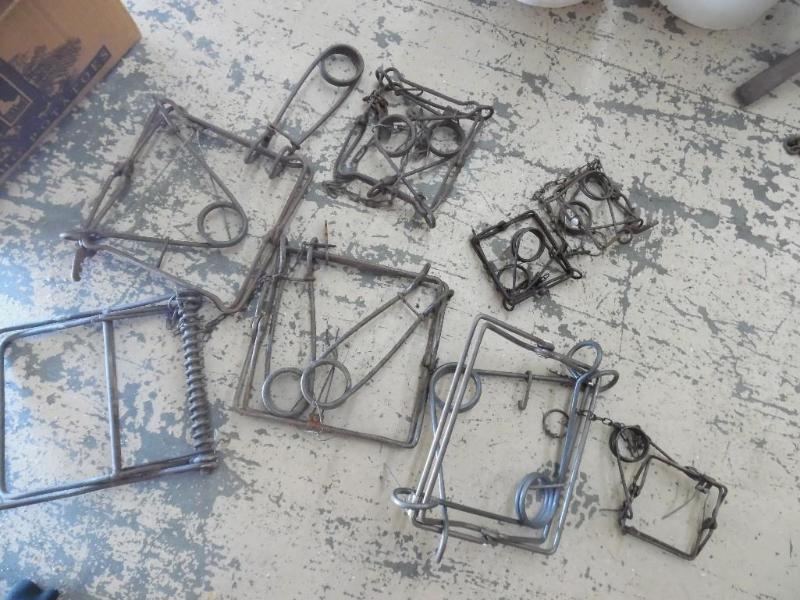 Animal traps
