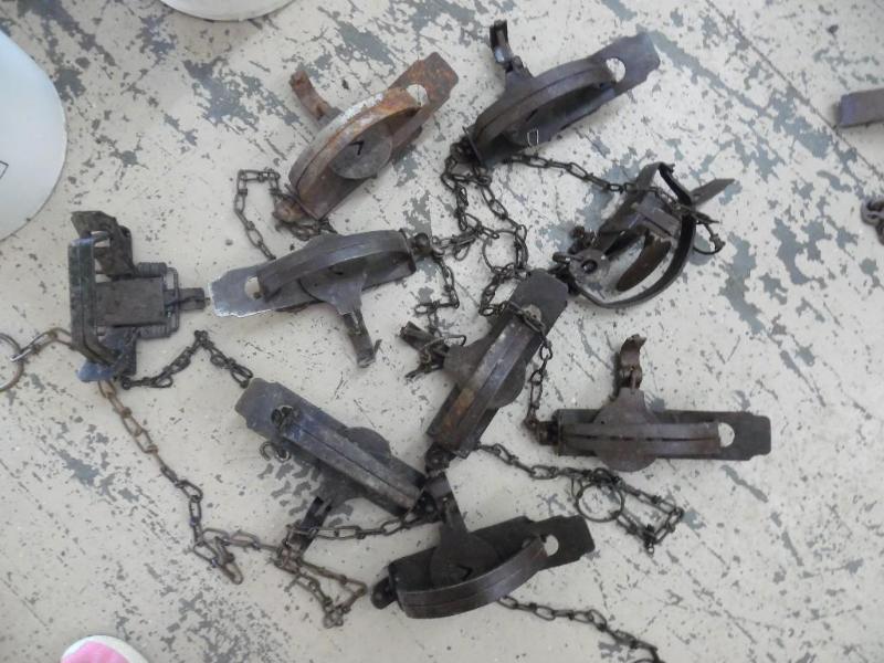 Animal traps