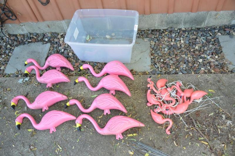 Pink Flamingos , the babies light up....
