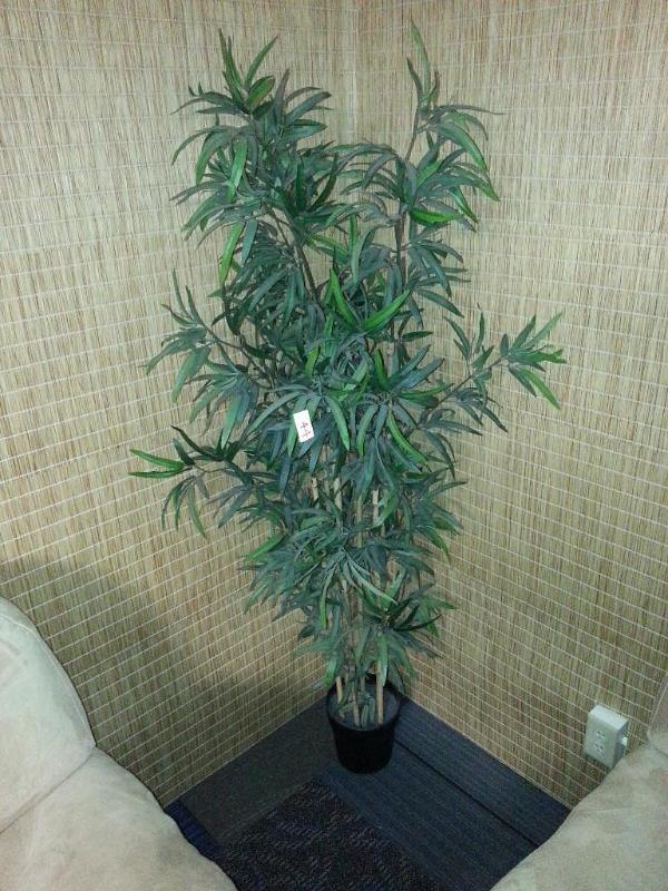 Artificial plants.&nbsp&nbsp One is 72 inch...