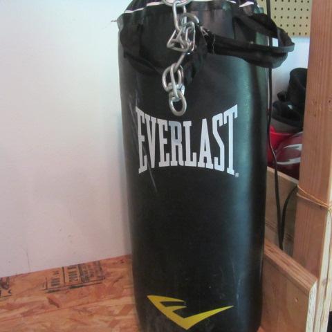 Everlast Punching Bag
