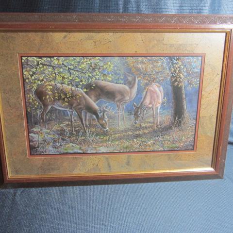 Whitetail Deer Print