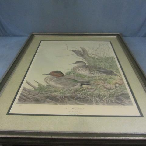 DU Print - Green Winged Teal