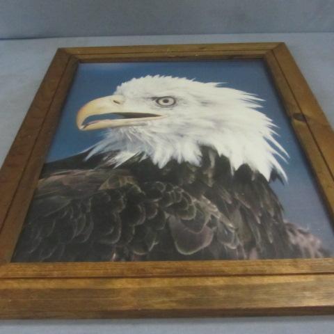 Eagle Poster