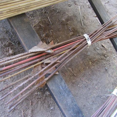 lot 184 image: Electric Fence Posts