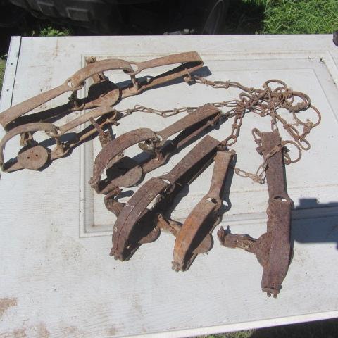 lot 311 image: Pan Traps