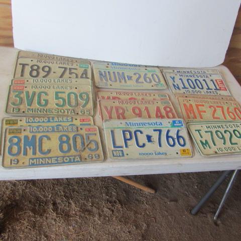 lot 55 image: Pairs MN License Plates