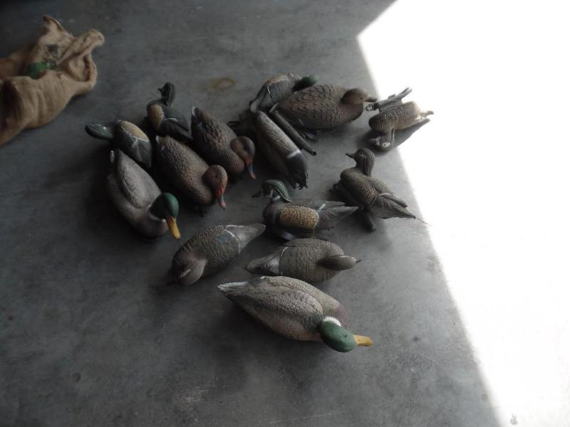 lot 10 image: Duck decoys