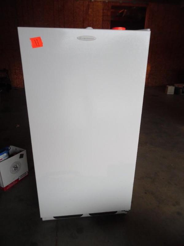 lot 11 image: Upright freezer