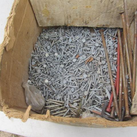 Galvanized Roofing Nails