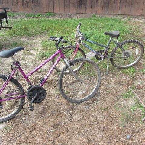 lot 100 image: 10-Speed Bicycles