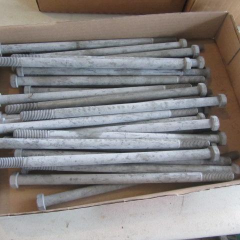 lot 116 image: Lag Screws
