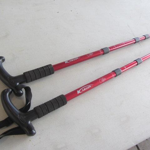lot 134 image: Adjustable Aluminum Canes