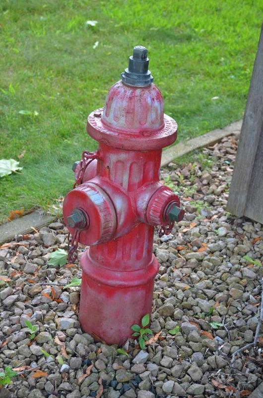 lot 120 image: RD Wood & co Matthews metal fire hydrant....