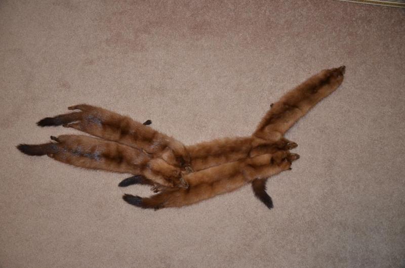 lot 154 image: Real full Mink Stole 46"  long.&nbs...
