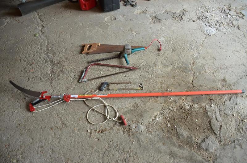 lot 218 image: branch trimmer and other saws...