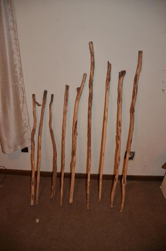 lot 176 image: Walking sticks, the tallest is 54"...