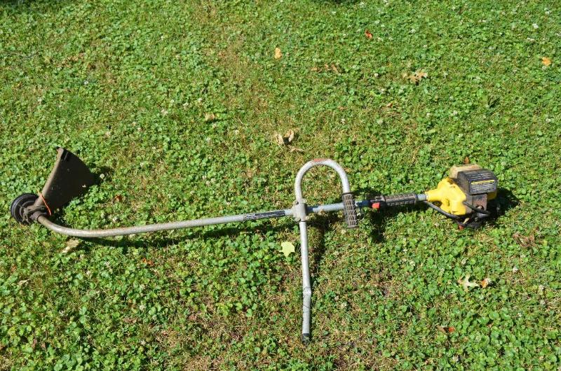lot 183 image: McCulloch Eager Beaver gas weed whip...