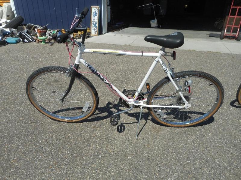 Mens 10 speed bike