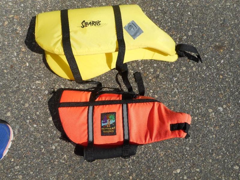 Dog life vests