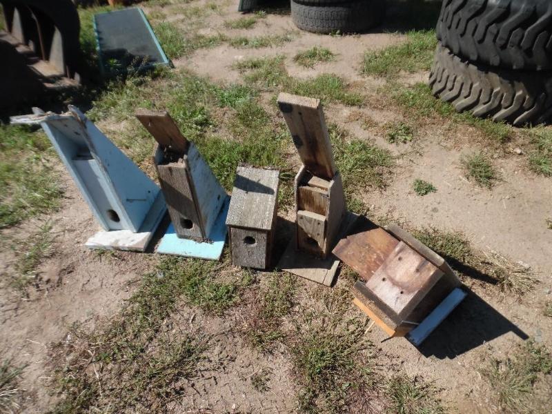 Bird houses