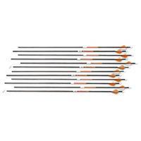 lot 4 image: Victory Trophy Hunter 350 Arrows, 12 Pack