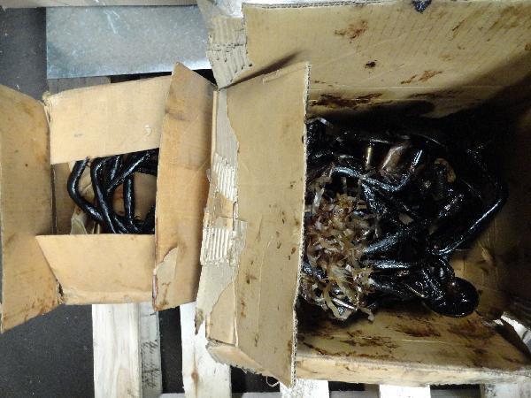 lot 382 image: Assorted Hand Drills...