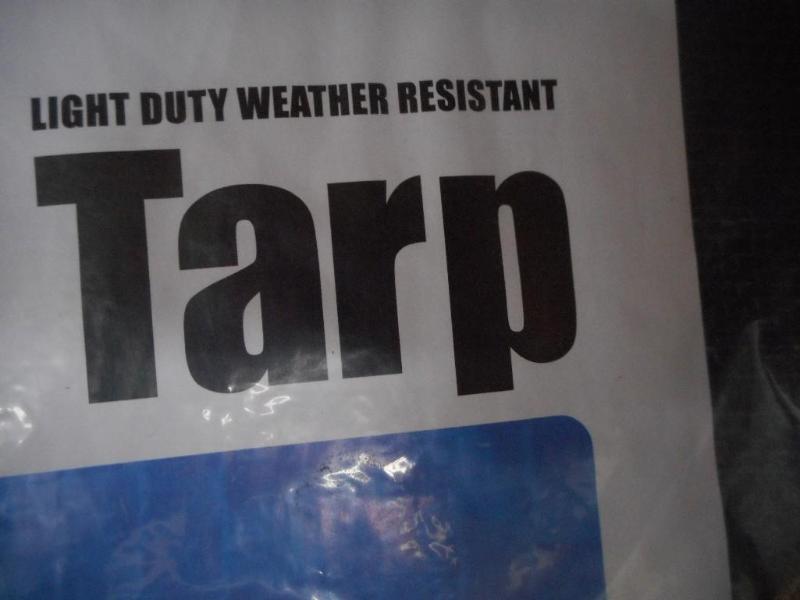 Tarp