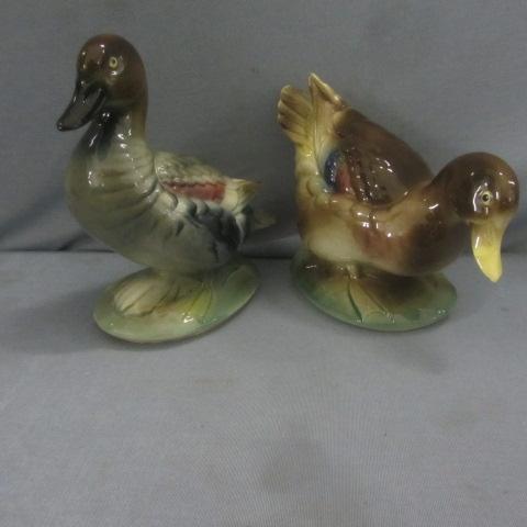 Priolo Gadwall Drake & Hen