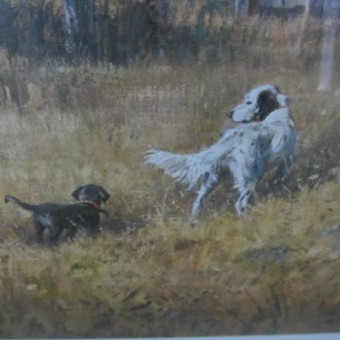 Sporting Dogs, Abbett