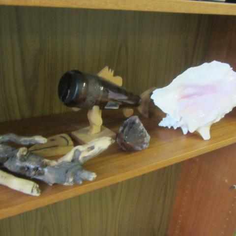 Shells, Amethyst, Driftwood