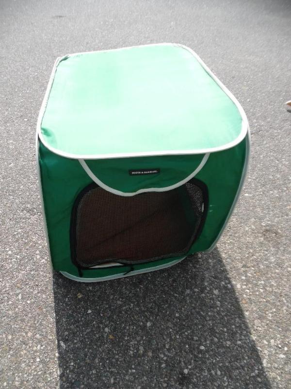 Collapsible dog kennel