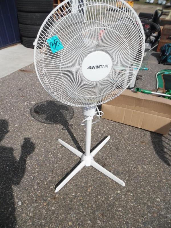 Fan