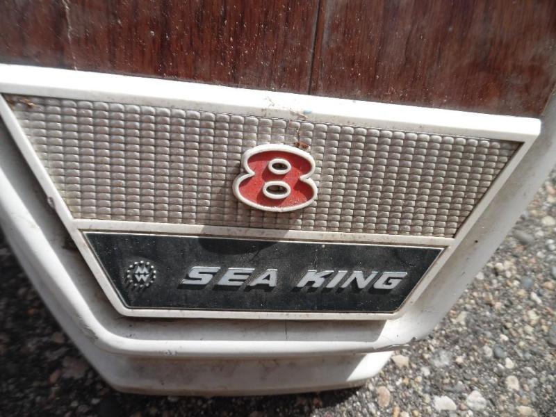 Seahorse boat motor