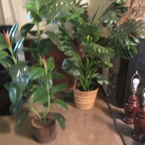 lot 134 image: Artificial Plants