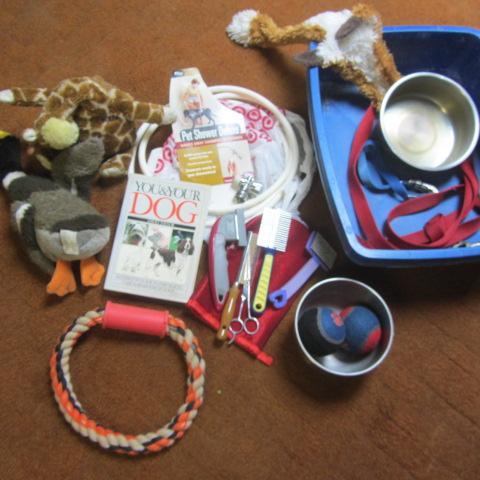 lot 170 image: Pet Shower, Grooming Tools, Leashes