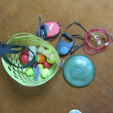 lot 171 image: Retractable Leashes, Toys