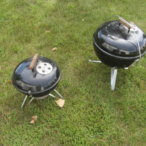 lot 39 image: Weber Grill Family