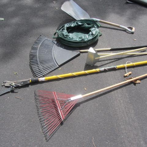 lot 61 image: Pole Saw, Garden Tools