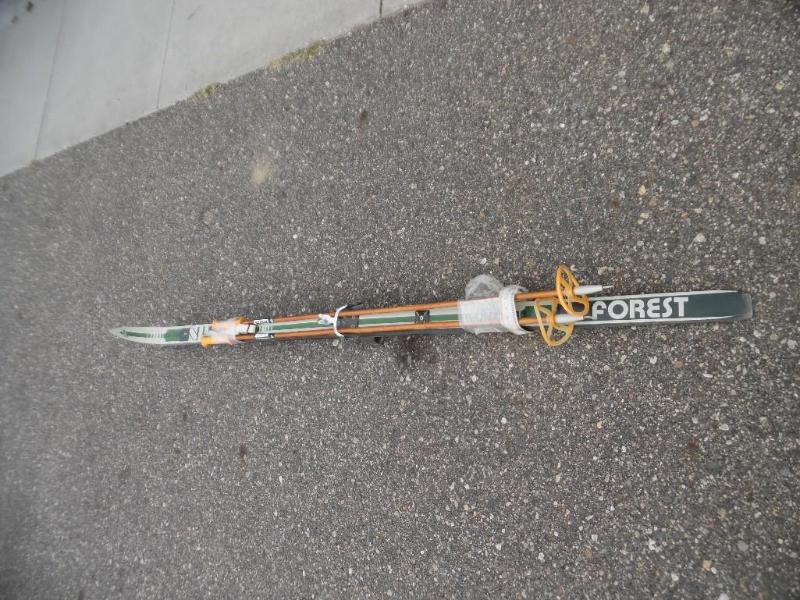 Forest Cross Country Skis