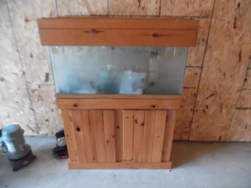 20 gallon aquarium