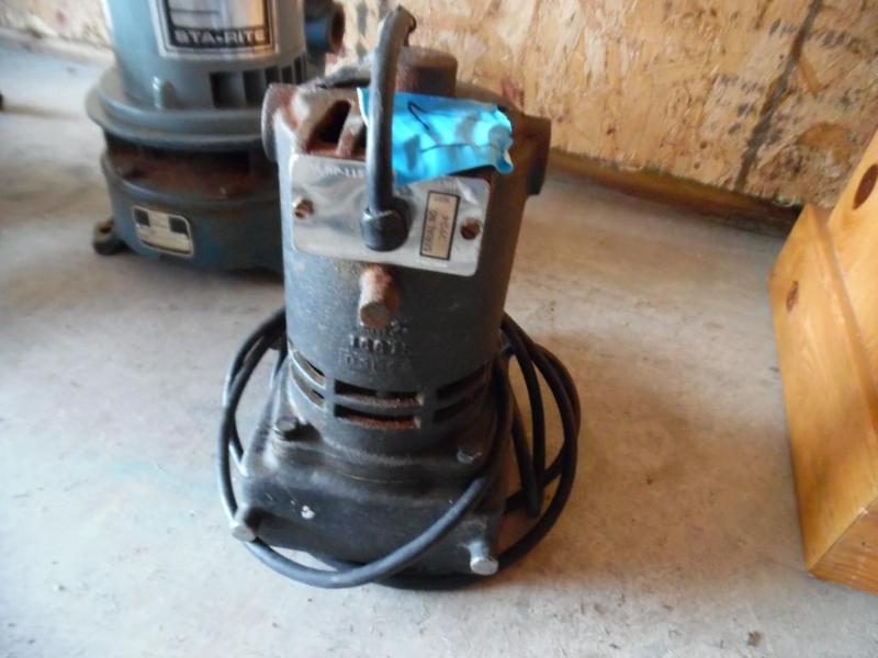 Portable utility pump